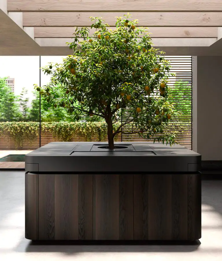 Renzo Rastelli presents the Oasi model: a kitchen with an integrated tree, a symbol of sustainable design and nature.